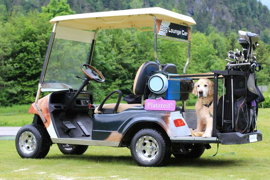 Golfen mit Hund