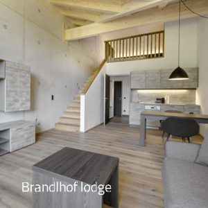 Lodge M - Vacation rentals in Saalfelden