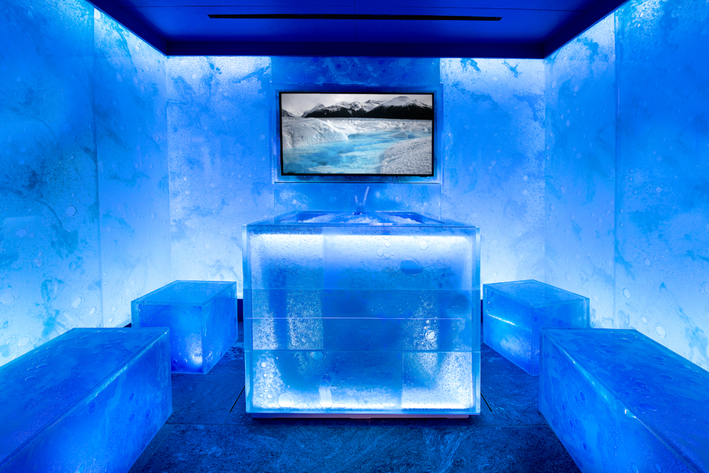Salon de glace